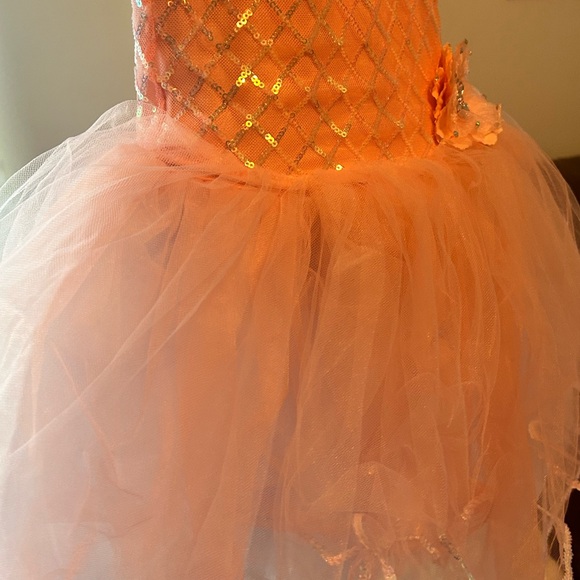 Pink Dance Tutu Costume Child 7-8 Size Ic Weissman (Worn once time) - Picture 6 of 6